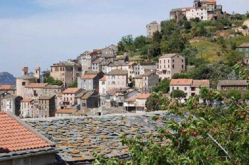 Location de vacances - Villa à Oletta