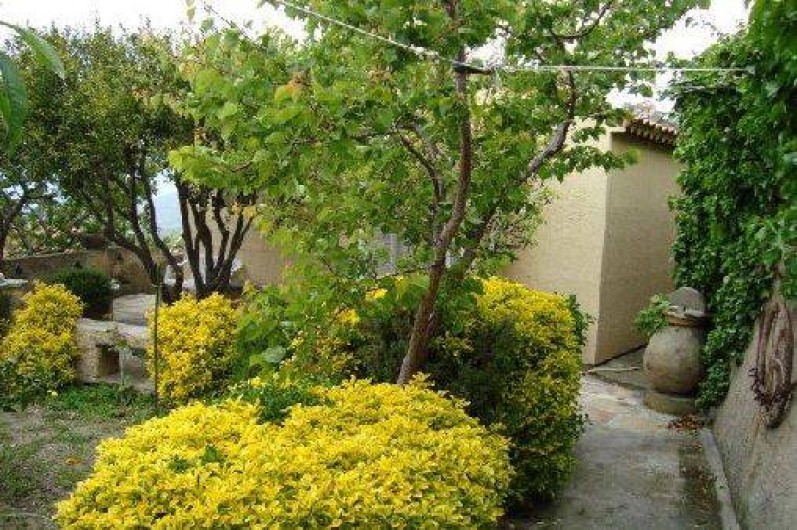 Location de vacances - Villa à Oletta