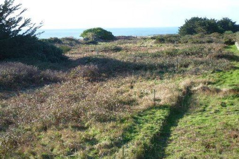 Location de vacances - Maison - Villa à Quiberon