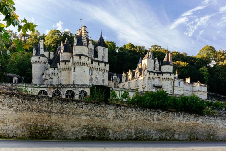 Location de vacances - Gîte à Seigy - Venez découvrir les plus beaux Châteaux de la Loire