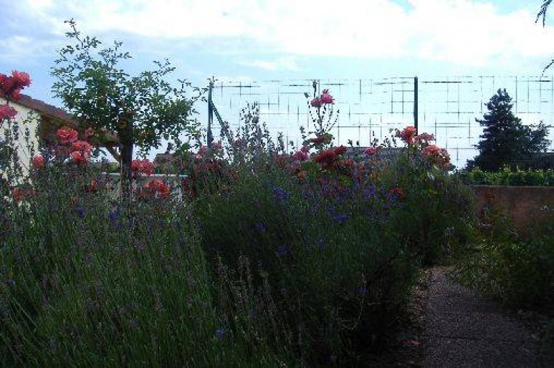 Location de vacances - Appartement à Colmar