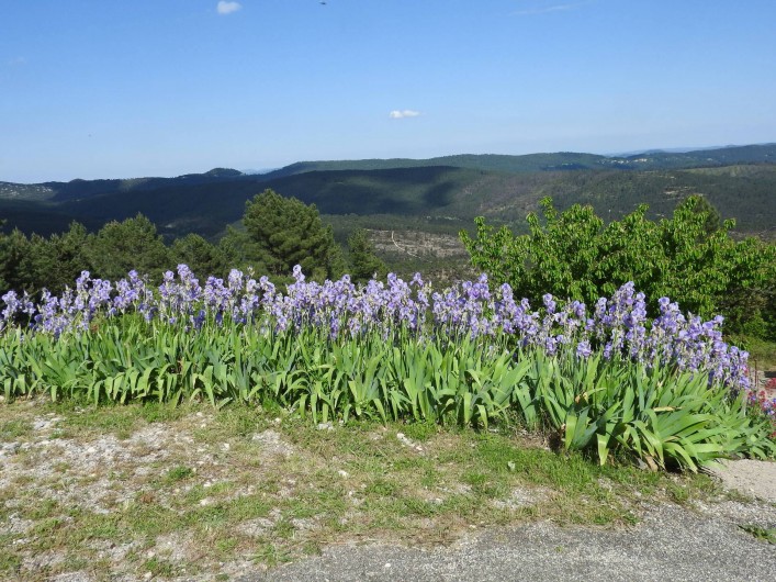 Location de vacances - Gîte à Malbosc - avec vue sur le ventoux