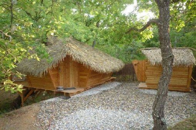 Location de vacances - Cabane dans les arbres à Sigonce