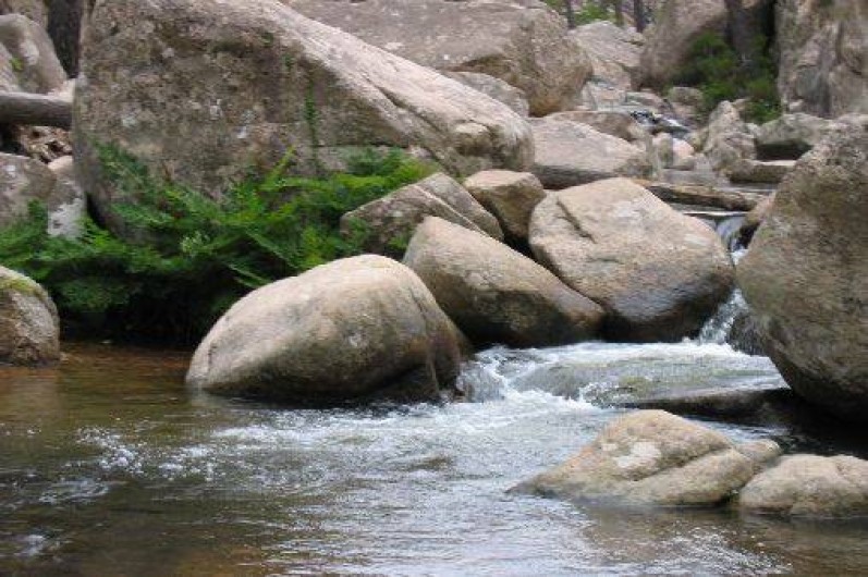 Location de vacances - Maison - Villa à Appietto