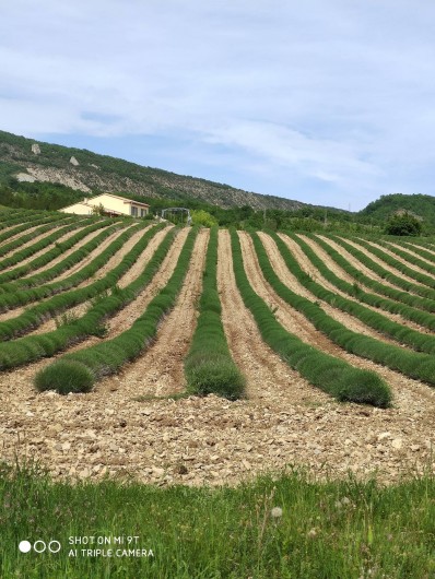 Location de vacances - Maison - Villa à Bevons