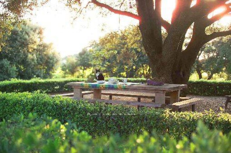 Location de vacances - Mas à Valréas