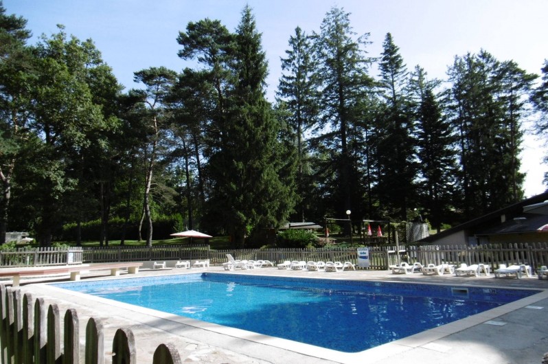 Location de vacances - Camping à Palisse - Espace piscne