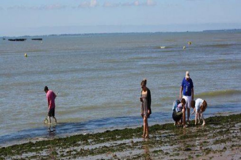 Location de vacances - Camping à La Tranche-sur-Mer