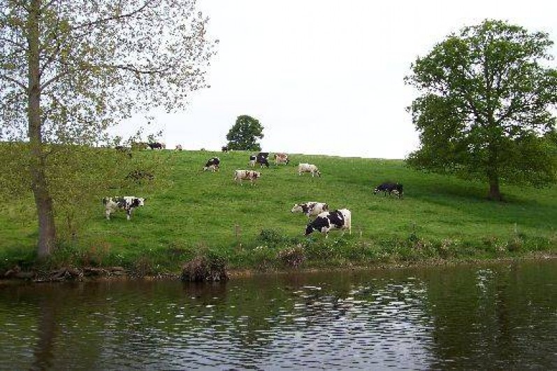 Location de vacances - Gîte à Saint-Hilaire-du-Harcouët