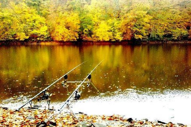Location de vacances - Gîte à Saint-Hilaire-du-Harcouët