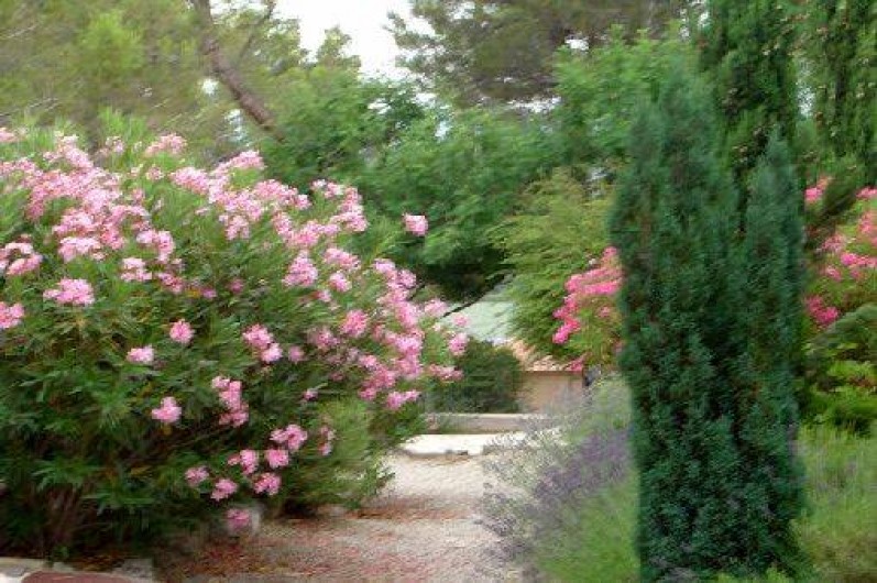 Location de vacances - Appartement à Éguilles - Des fleurs, des arbres un cadre qui vous enchantera.