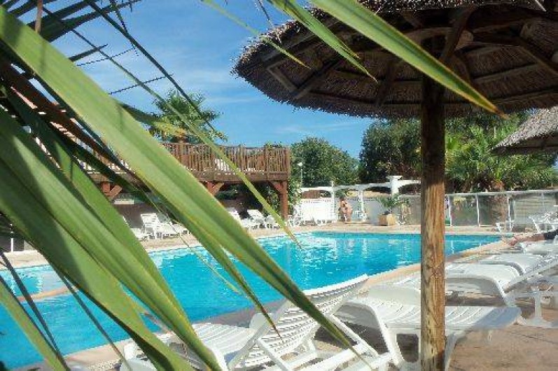 Location de vacances - Bungalow - Mobilhome à Fréjus