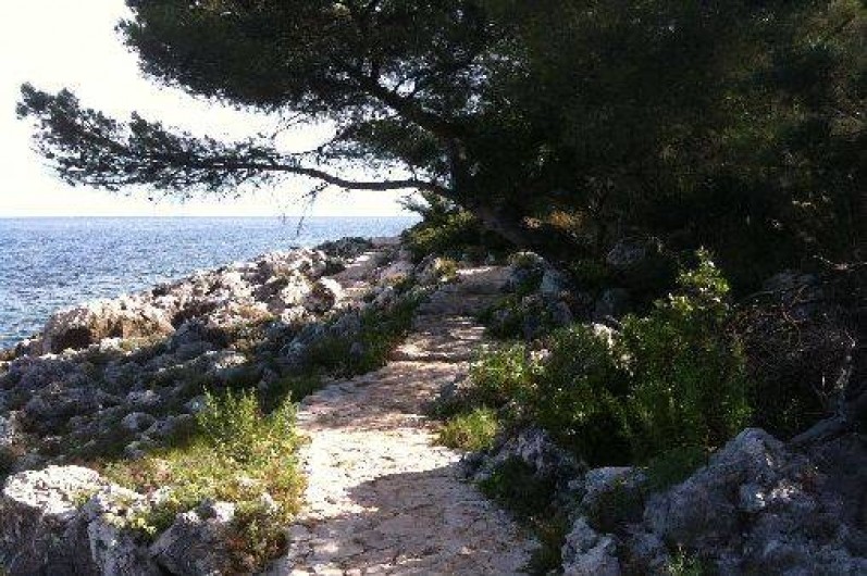 Location de vacances - Appartement à Nice