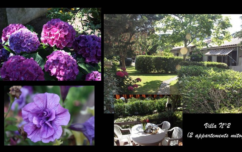 Location de vacances - Villa à Calvi