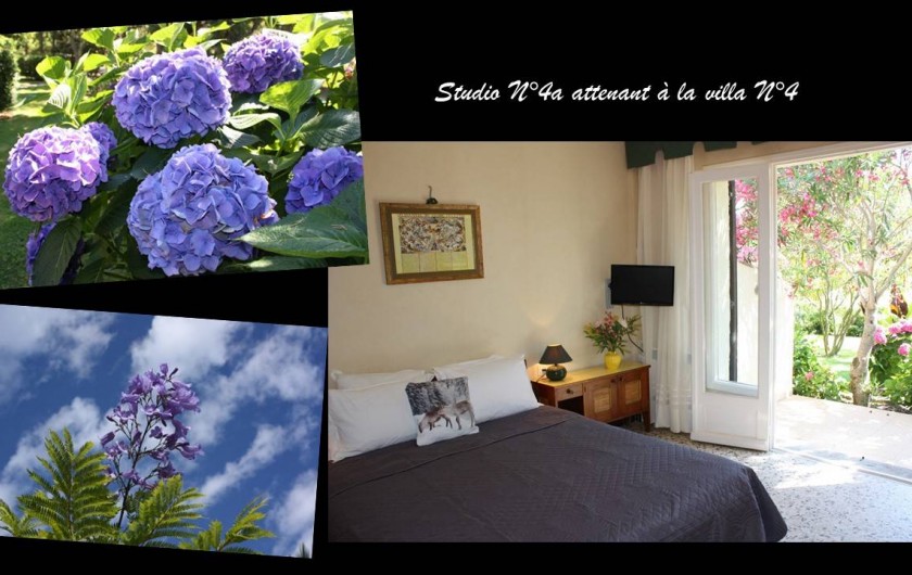 Location de vacances - Villa à Calvi