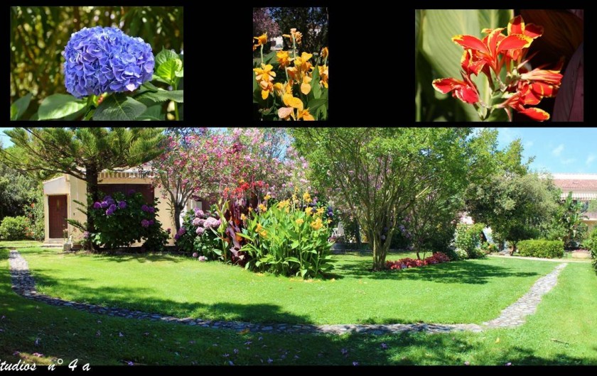 Location de vacances - Villa à Calvi