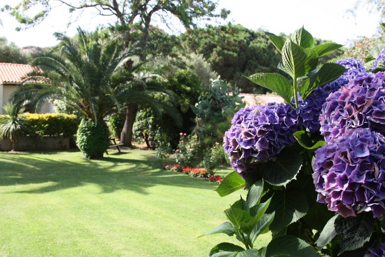 Location de vacances - Villa à Calvi