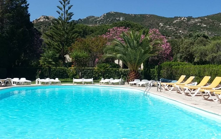 Location de vacances - Villa à Calvi