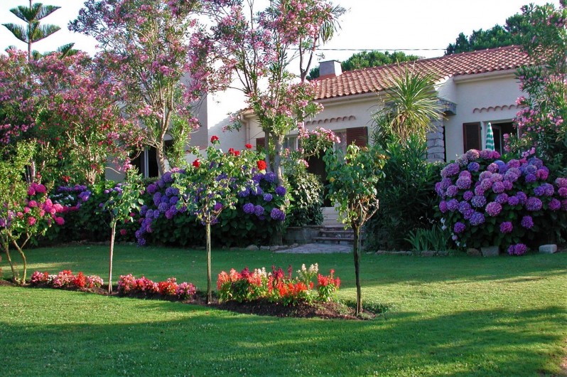 Location de vacances - Villa à Calvi