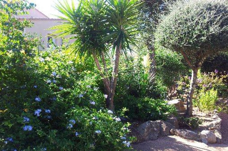 Location de vacances - Villa à Sainte-Lucie de Porto-Vecchio