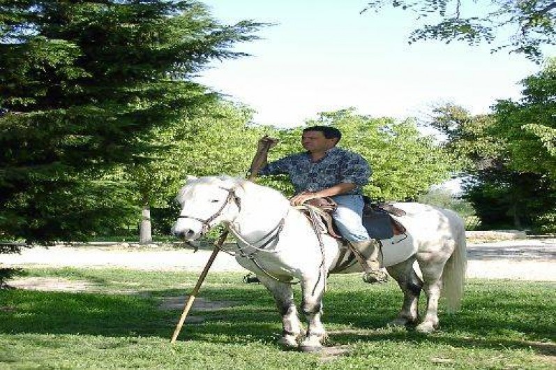 Location de vacances - Gîte à Arles