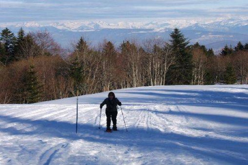Location de vacances - Gîte à Plagne