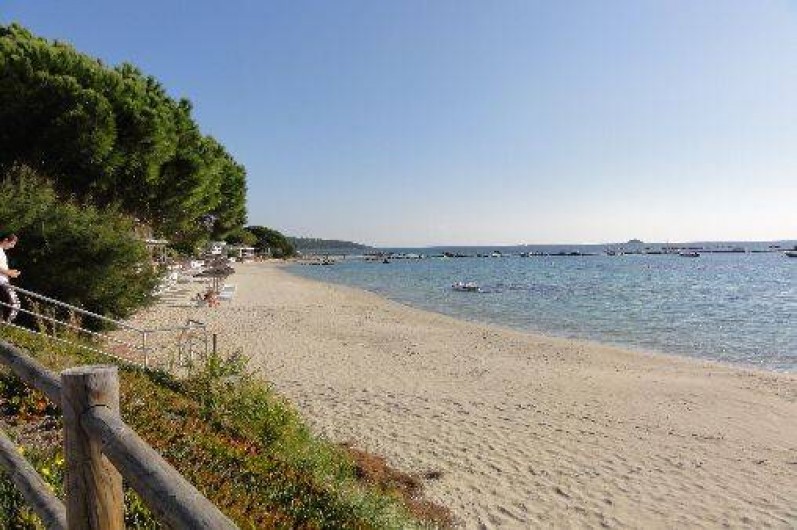 Location de vacances - Appartement à Pinarello