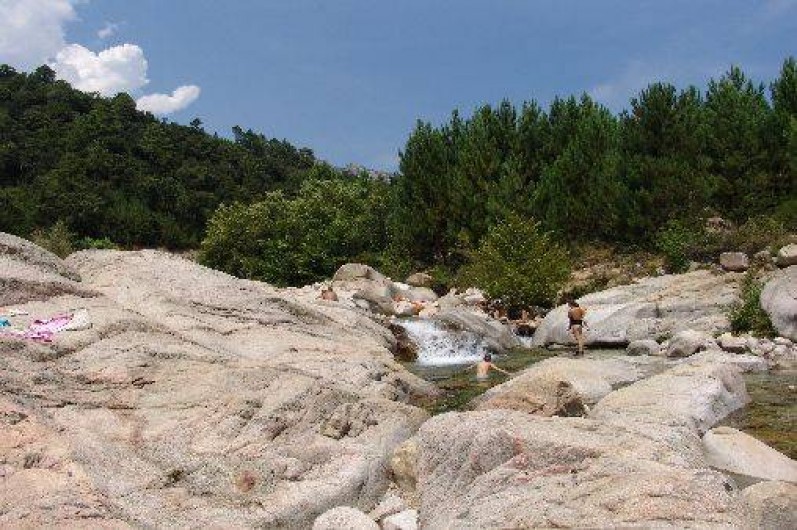 Location de vacances - Appartement à Pinarello