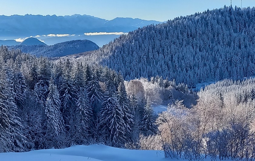 Location de vacances - Chalet à La Féclaz