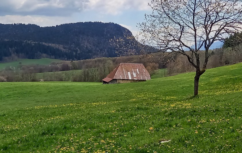 Location de vacances - Chalet à La Féclaz