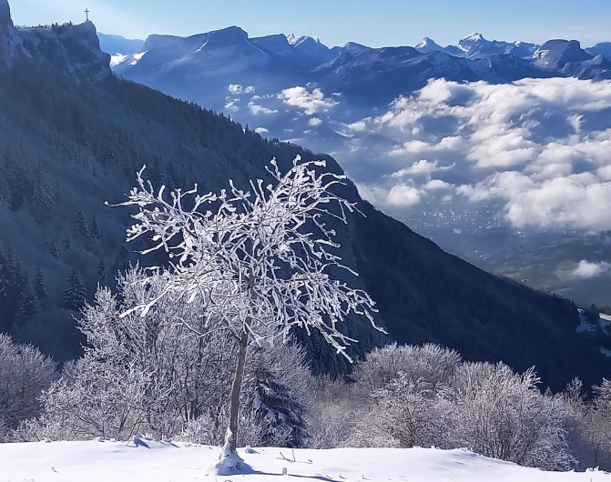 Location de vacances - Chalet à La Féclaz
