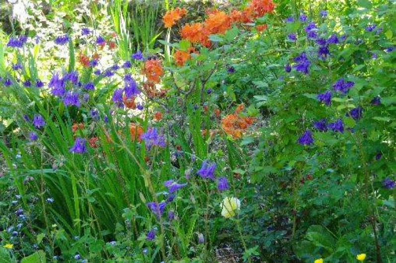 Location de vacances - Chalet à Les Eyzies-de-Tayac-Sireuil
