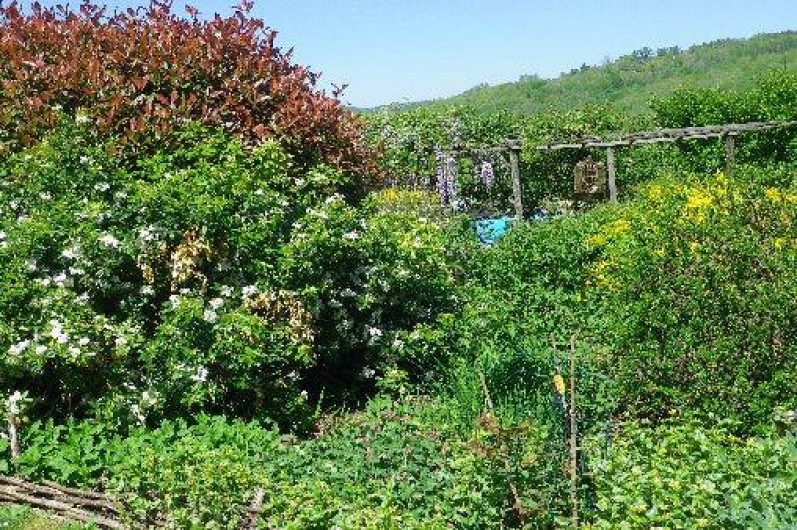 Location de vacances - Chalet à Les Eyzies-de-Tayac-Sireuil