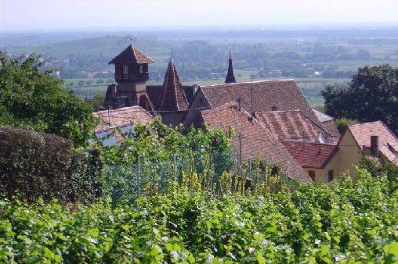 Location de vacances - Gîte à Gueberschwihr - Gueberschwihr village viticole en Alsace près de Colmar