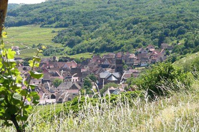 Location de vacances - Gîte à Gueberschwihr - Gueberschwihr, village typique d'Alsace au calme sur la route des vins