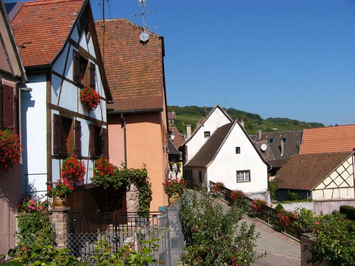 Location de vacances - Gîte à Gueberschwihr - Gîte près de Colmar sur la route des vins d'Alsace au calme à Gueberschwihr