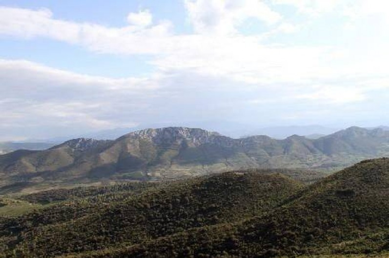 Location de vacances - Gîte à Rasiguères