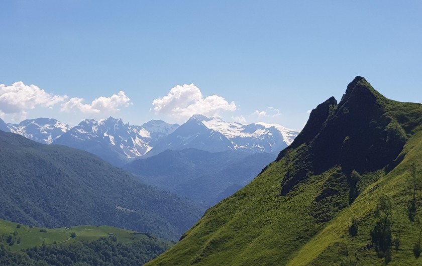 Location de vacances - Gîte à Laruns - Pic de l'Oie Louvie Soubiron
