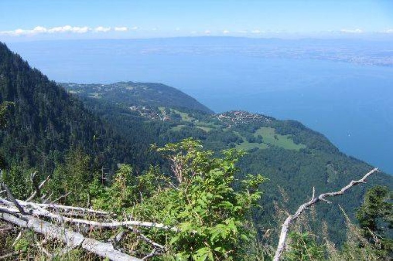 Location de vacances - Appartement à Bernex