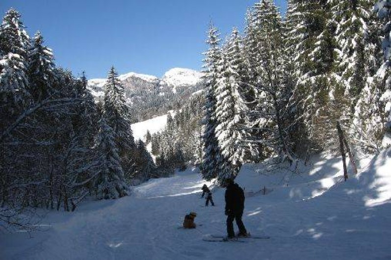 Location de vacances - Appartement à Bernex