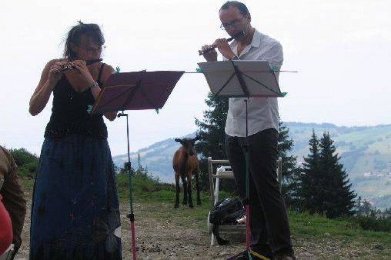 Location de vacances - Appartement à Bernex