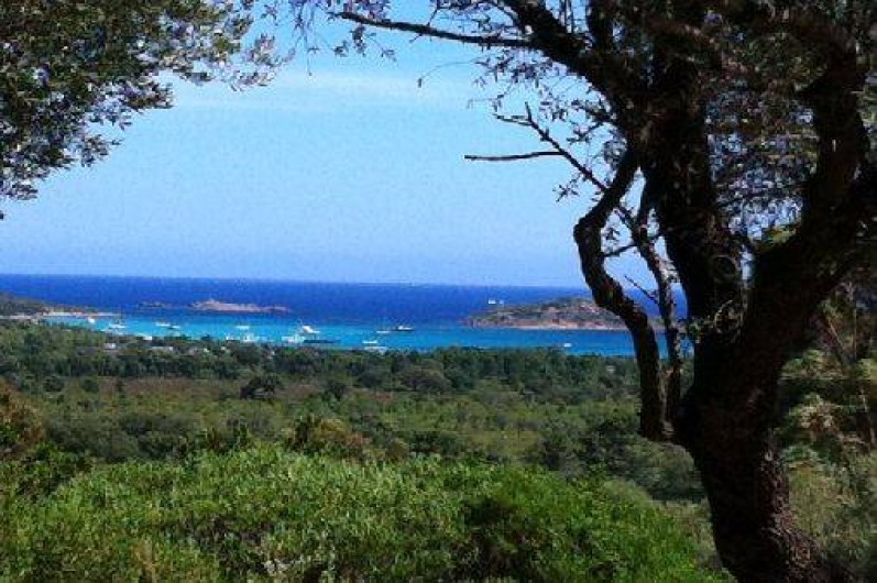 Location de vacances - Villa à Porto-Vecchio