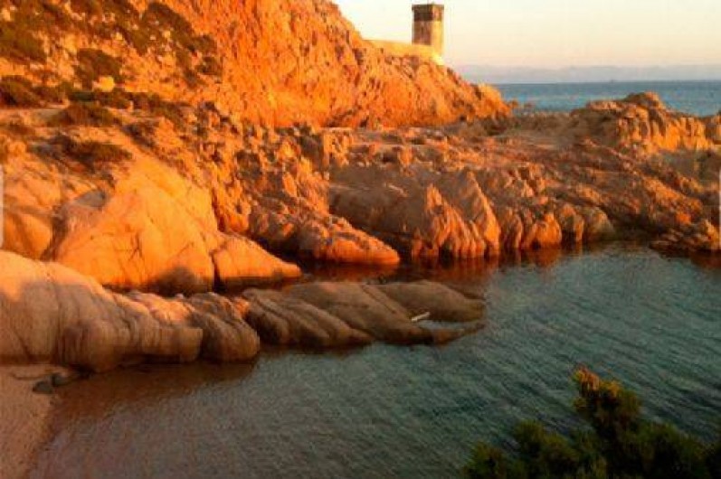 Location de vacances - Chalet à Bonifacio