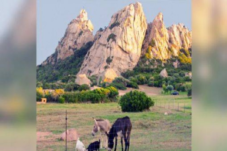 Location de vacances - Chalet à Bonifacio