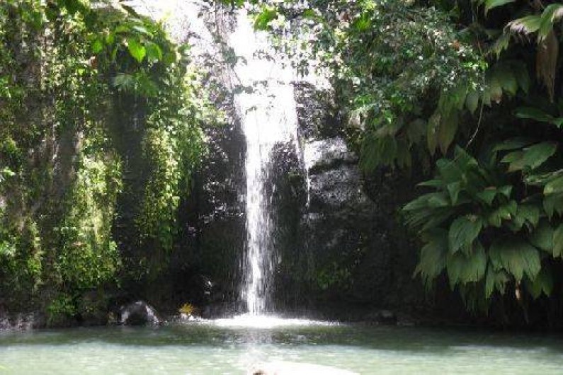 Location de vacances - Studio à Deshaies