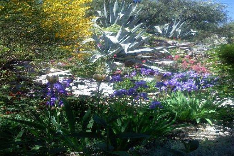 Location de vacances - Maison - Villa à La Cadière-d'Azur