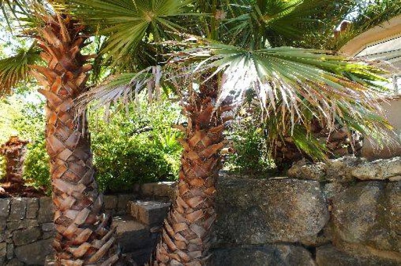 Location de vacances - Appartement à Cotignac