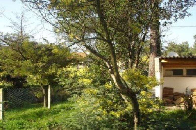 Location de vacances - Villa à Lacanau