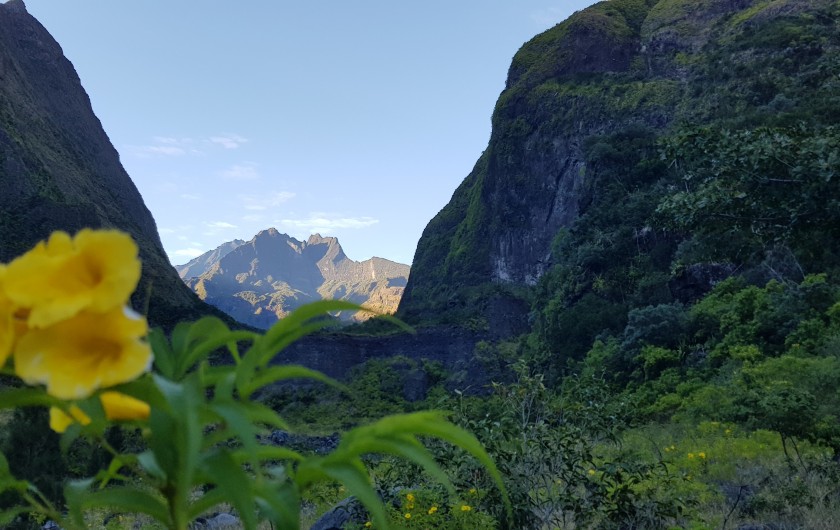 Location de vacances - Maison - Villa à Bois De Nèfles