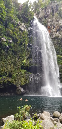 Location de vacances - Maison - Villa à Bois De Nèfles